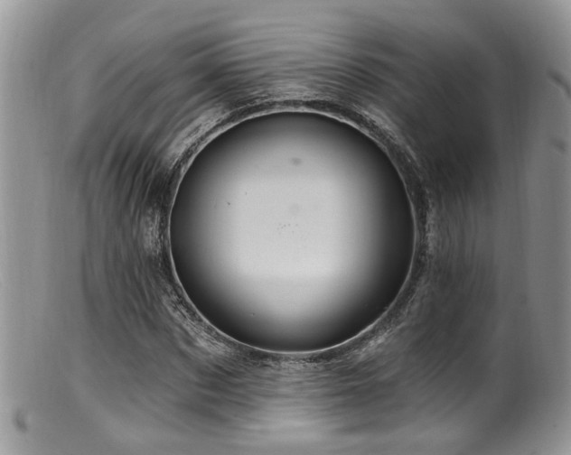 X0000099500873200805151428