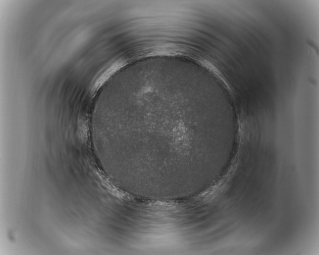 X0000099500874200805151428