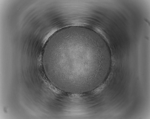 X0000099500875200805151428