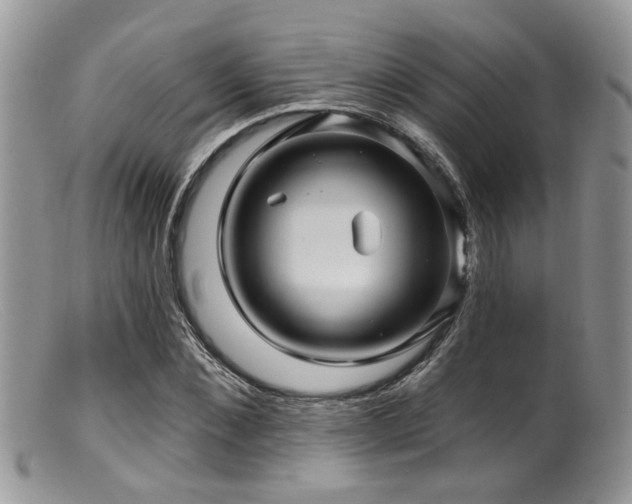 X0000099500876200805151428