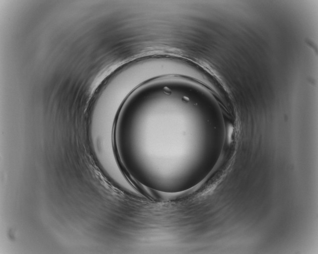 X0000099500877200805151428