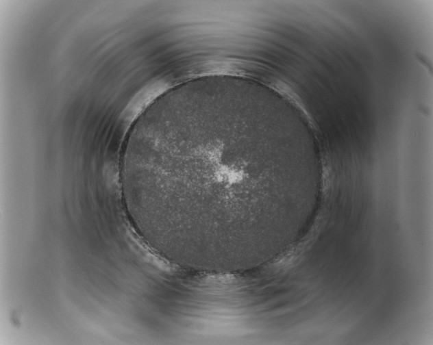 X0000099500882200805151428