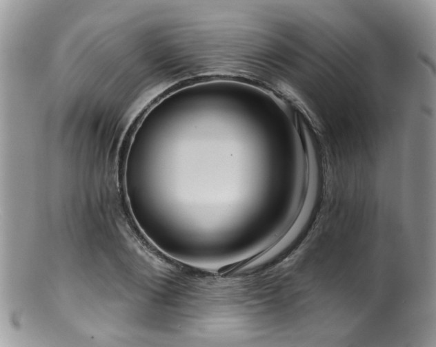 X0000099500884200805151428