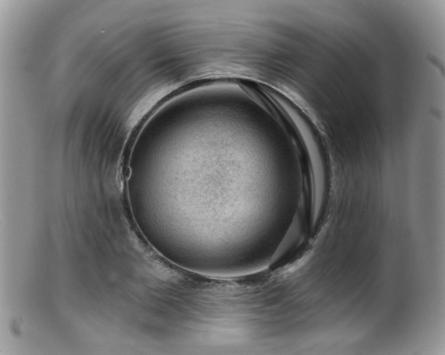 X0000099500885200805151428