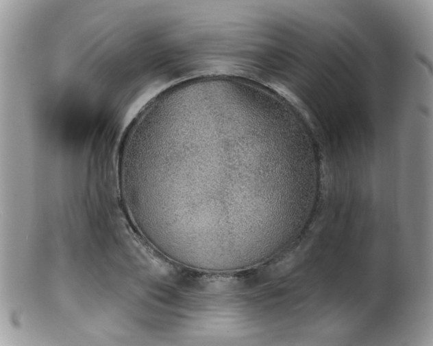 X0000099500886200805151428