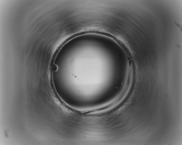 X0000099500888200805151428