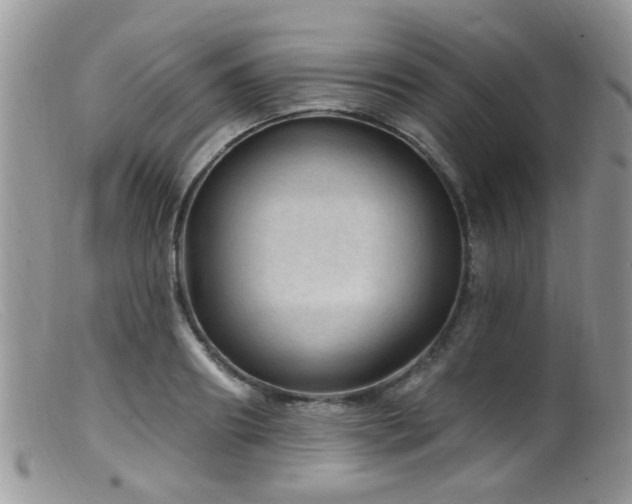 X0000099500890200805151428