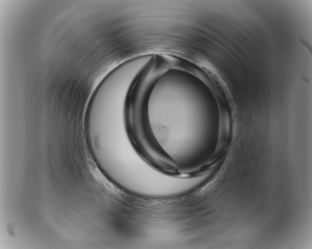 X0000099500892200805151428