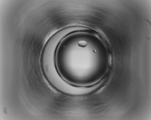 X0000099500893200805151428