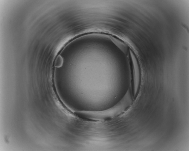 X0000099500896200805151428