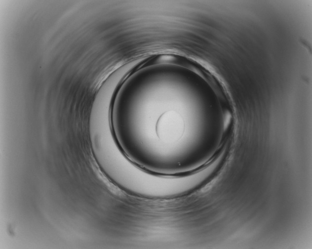 X0000099500897200805151428