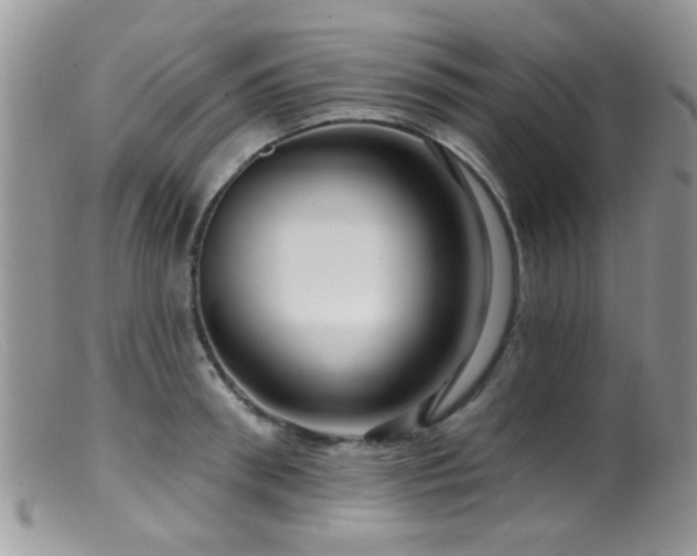 X0000099500898200805151428
