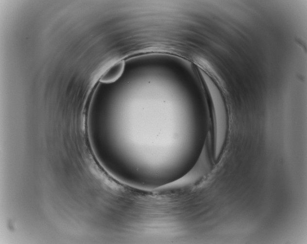X0000099500900200805151428