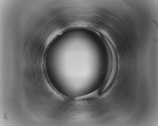 X0000099500901200805151428