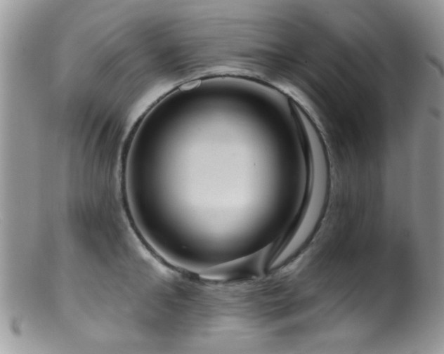 X0000099500902200805151428