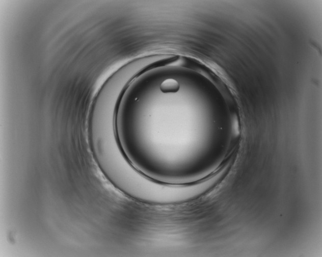 X0000099500904200805151428