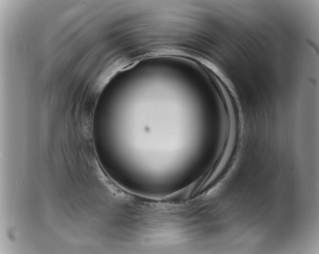 X0000099500905200805151428