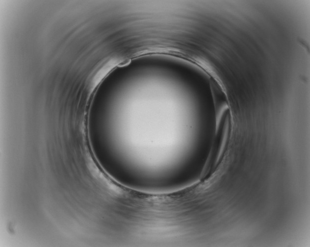 X0000099500906200805151428