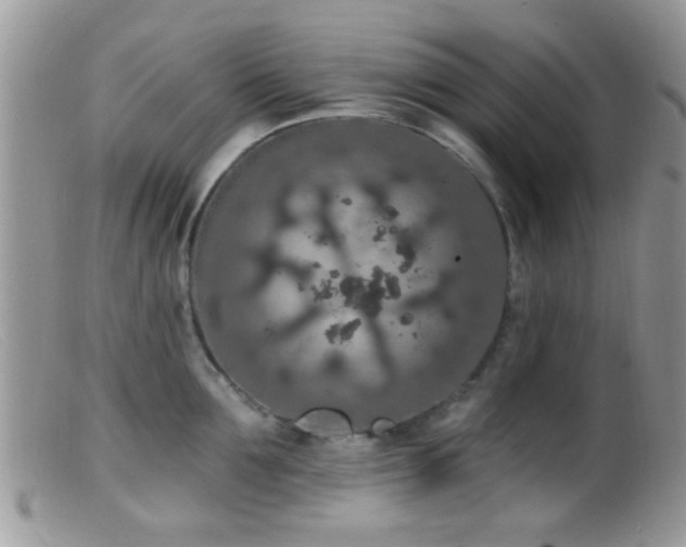 X0000099500907200805151428