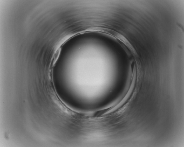 X0000099500908200805151428