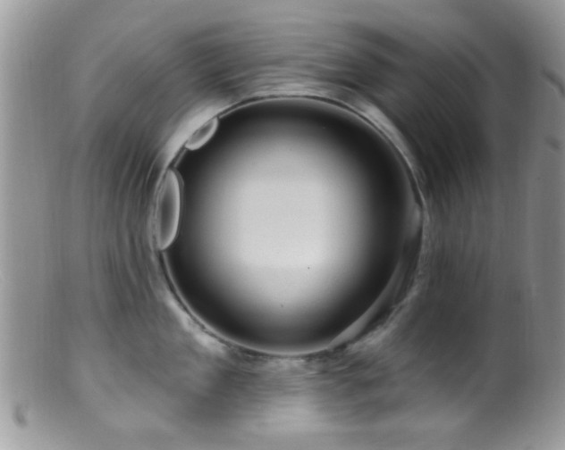 X0000099500909200805151428
