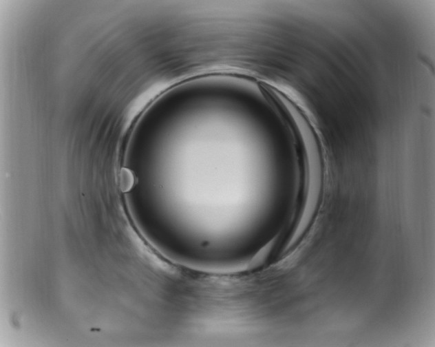 X0000099500910200805151428