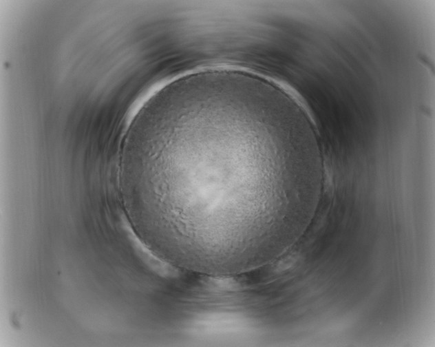 X0000099500911200805151428