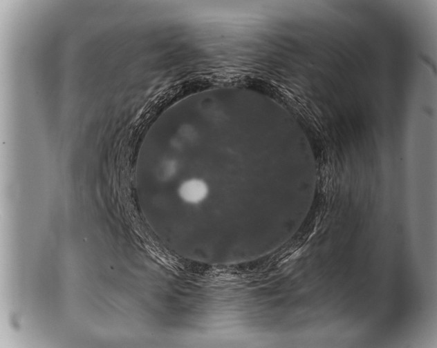 X0000099500913200805151427