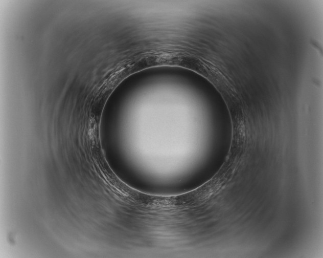 X0000099500914200805151427