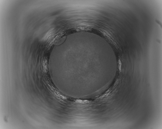 X0000099500915200805151427