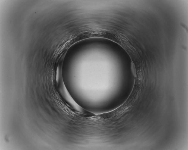 X0000099500916200805151427