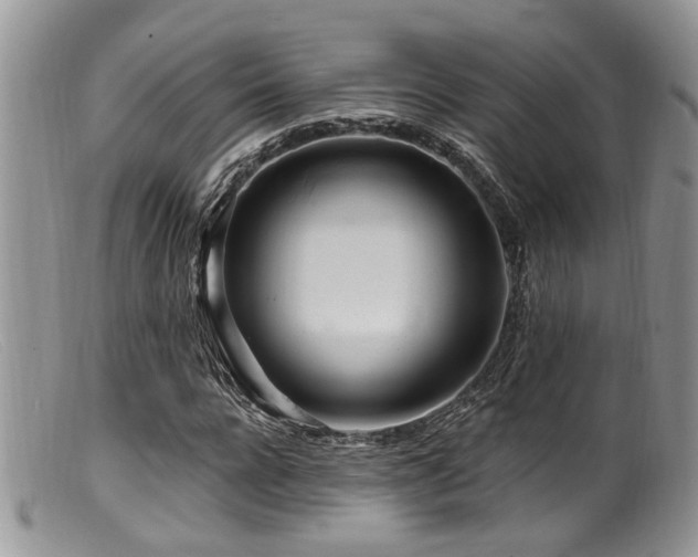 X0000099500920200805151427
