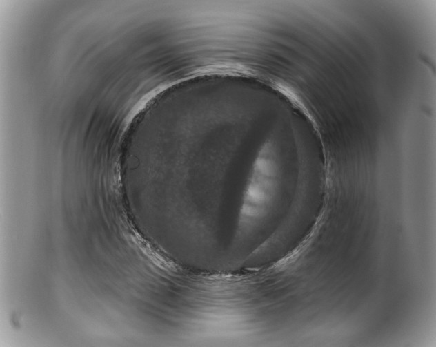 X0000099500923200805151427