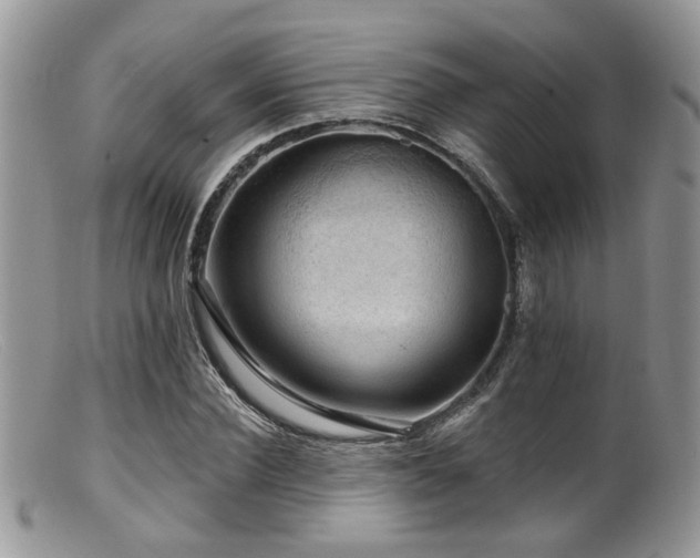 X0000099500924200805151427