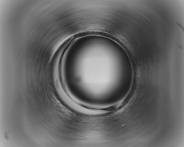 X0000099500926200805151427