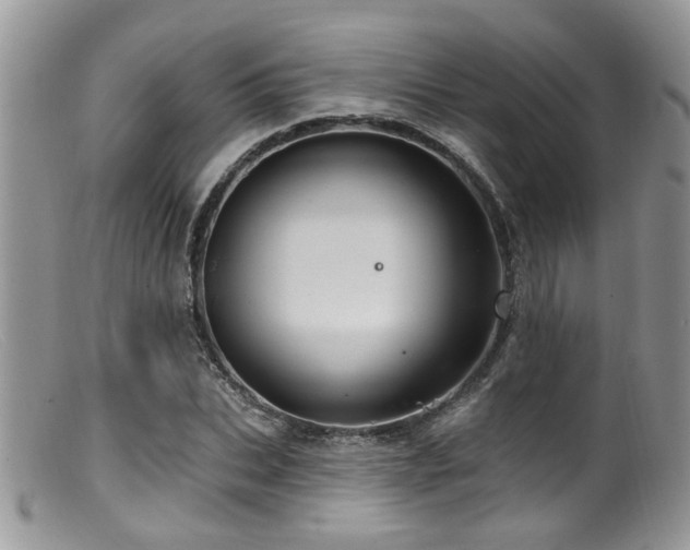 X0000099500927200805151427