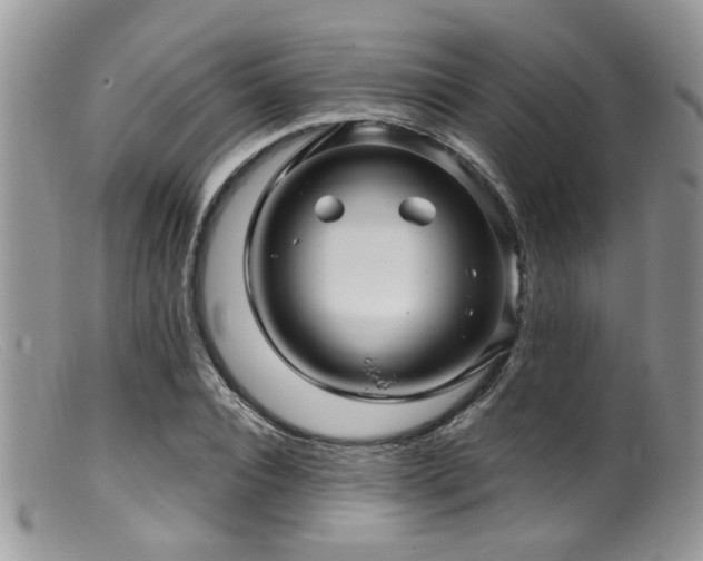 X0000099500928200805151427