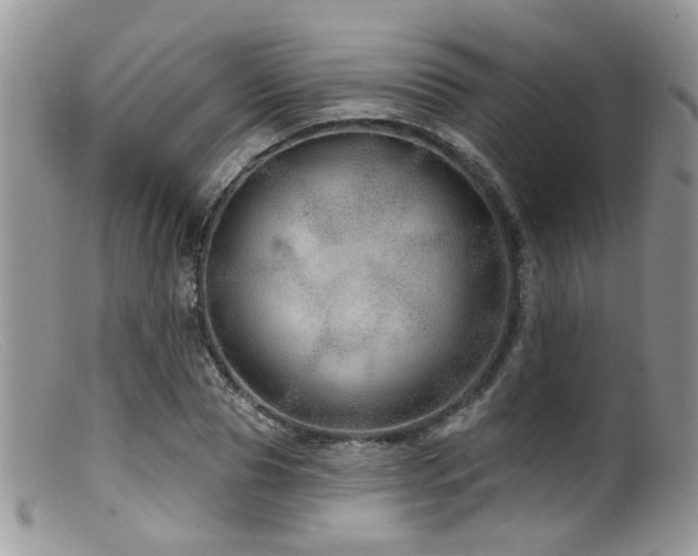 X0000099500929200805151427