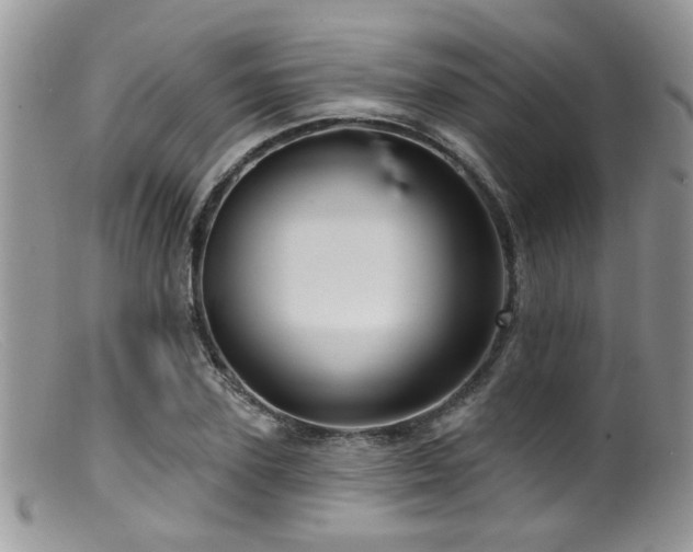 X0000099500931200805151427