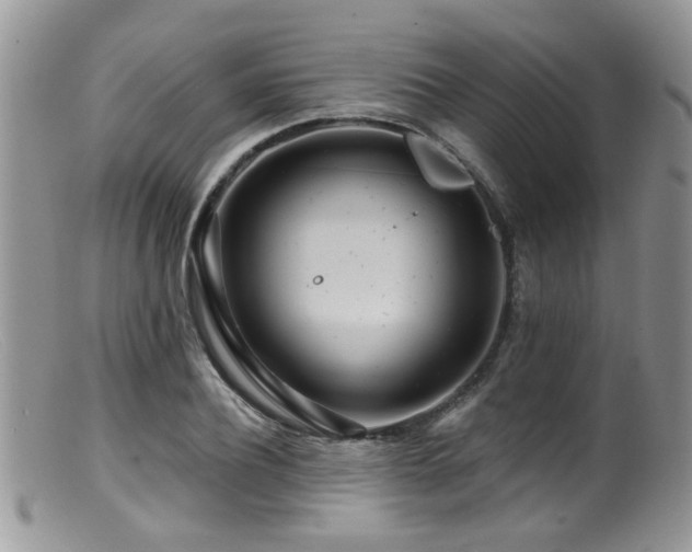 X0000099500932200805151427
