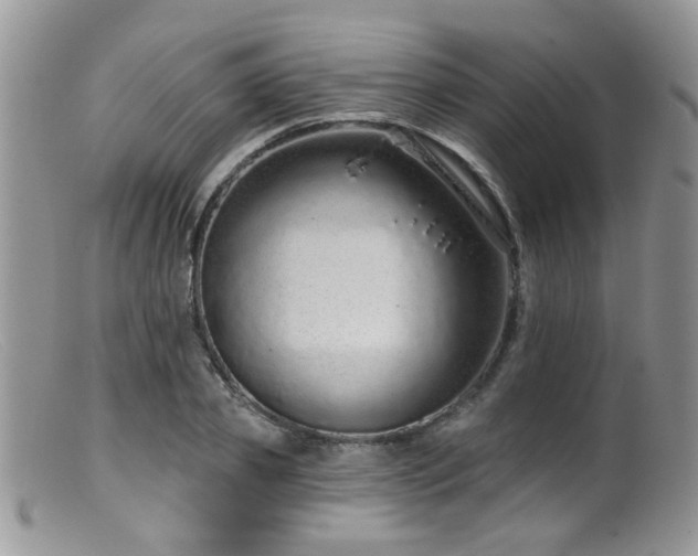 X0000099500933200805151427