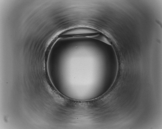 X0000099500934200805151427