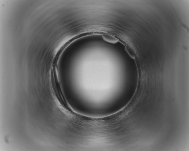 X0000099500936200805151427