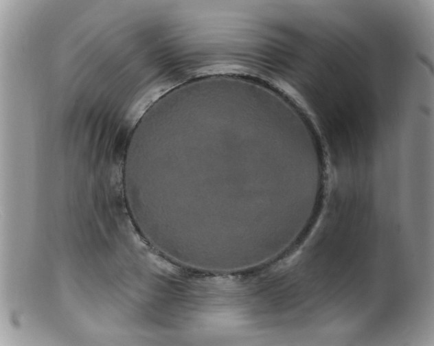 X0000099500937200805151427