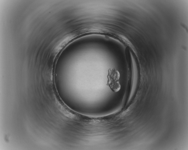 X0000099500938200805151427