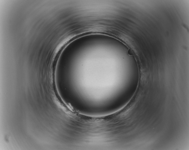 X0000099500939200805151427