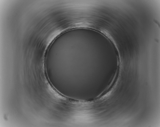 X0000099500941200805151427