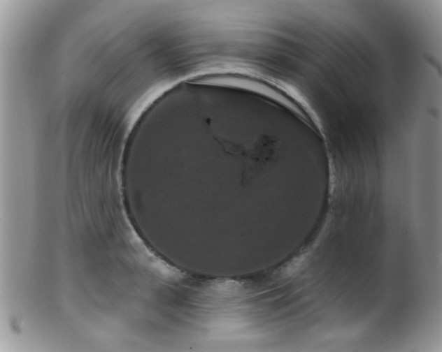 X0000099500943200805151427