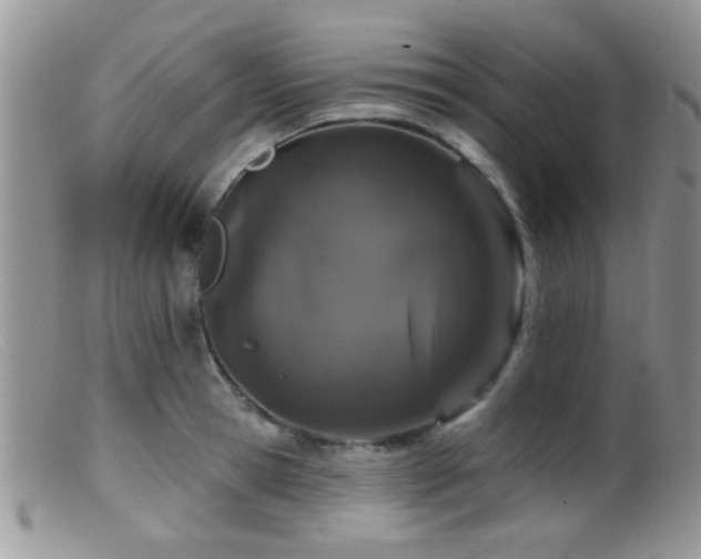 X0000099500945200805151427