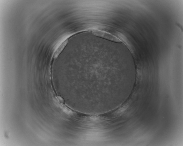 X0000099500948200805151427